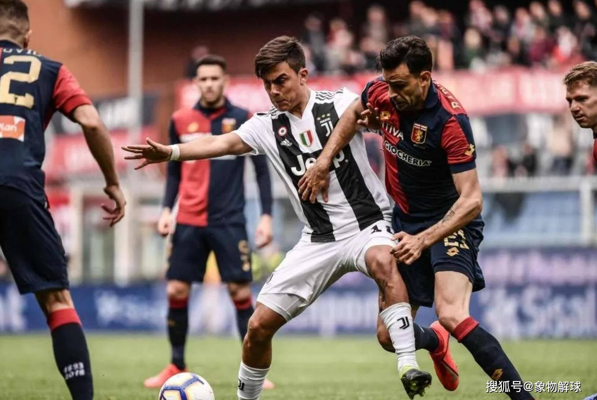 包含桑普多利亚战胜热那亚，喜迎重生的词条